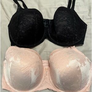 COPY - Torrid Bras